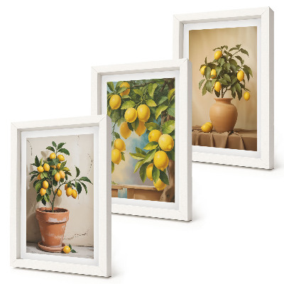 3-piece wall art set Lemon trees in pots and vases