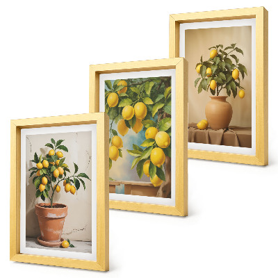 3-piece wall art set Lemon trees in pots and vases