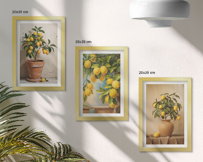 3-piece wall art set Lemon trees in pots and vases