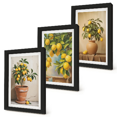 3-piece wall art set Lemon trees in pots and vases