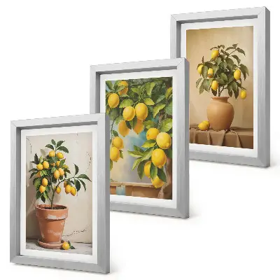 Lemon trees in pots and vases wall art 3-piece set