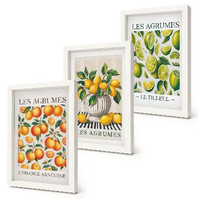 Photo frame wall set citrus fruits in various colorful and fresh designs