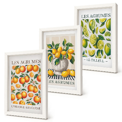 Photo frame wall Citrus fruits in various colorful and fresh versions