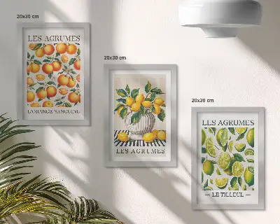 Photo frame wall set citrus fruits in various colorful and fresh designs