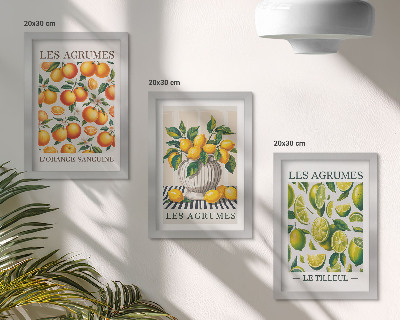 Photo frame wall Citrus fruits in various colorful and fresh versions
