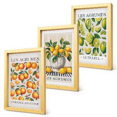Photo frame wall Citrus fruits in various colorful and fresh versions