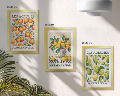 Photo frame wall Citrus fruits in various colorful and fresh versions