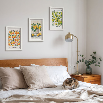Photo frame wall Citrus fruits in various colorful and fresh versions