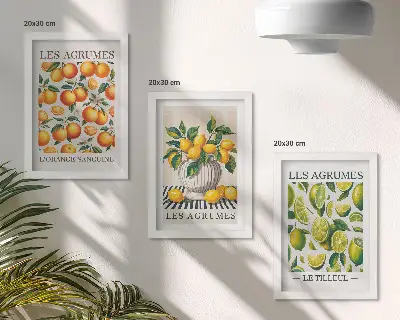 Photo frame wall set citrus fruits in various colorful and fresh designs