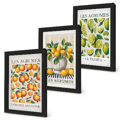 Photo frame wall set citrus fruits in various colorful and fresh designs