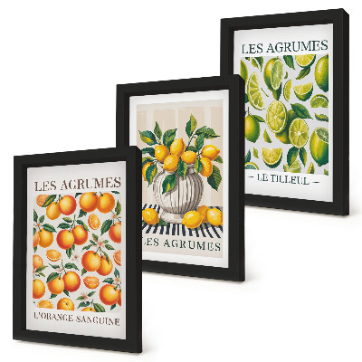 Photo frame wall Citrus fruits in various colorful and fresh versions