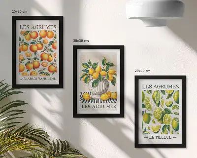 Photo frame wall set citrus fruits in various colorful and fresh designs