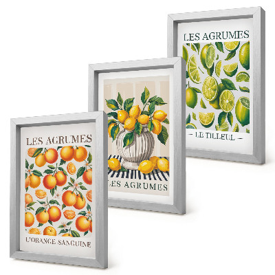 Photo frame wall Citrus fruits in various colorful and fresh versions