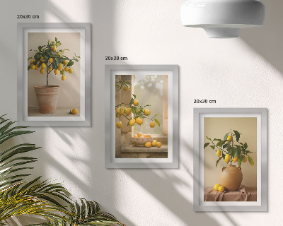 Framed triptych Lemon trees in pots and on the window
