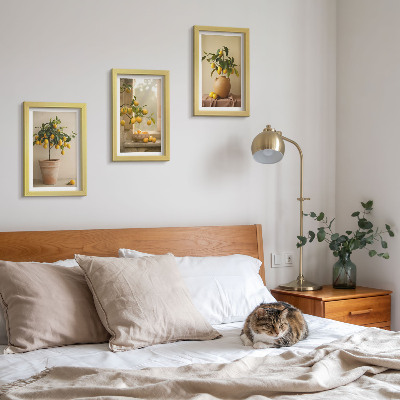 Framed triptych Lemon trees in pots and on the window