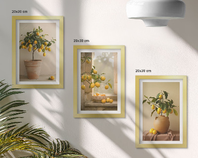 Framed triptych Lemon trees in pots and on the window
