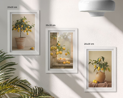 Framed triptych Lemon trees in pots and on the window