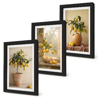 Framed triptych Lemon trees in pots and on the window