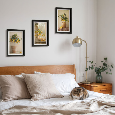 Framed triptych Lemon trees in pots and on the window