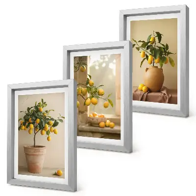 Lemon trees in pots and on the window framed triptych