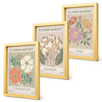 Framed triptych Floral Posters Copenhagen London Paris