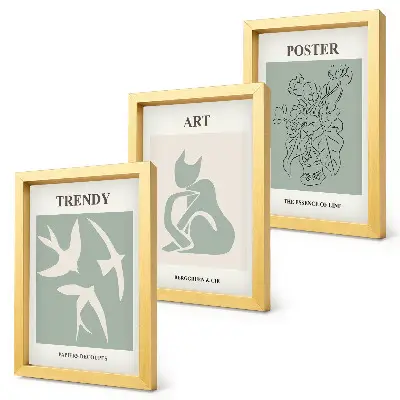 3-piece Henri Matisse wall art set stylish illustration prints