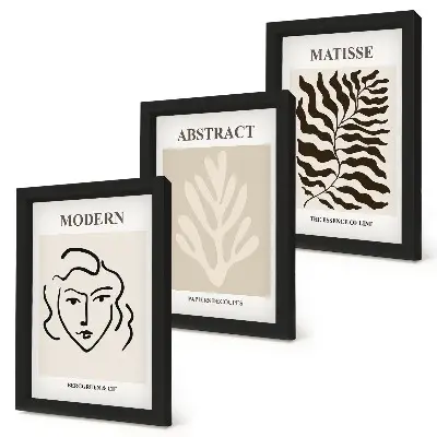 3-piece Henri Matisse wall art set face and leaves illustrations