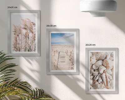Framed triptych Sandy beach with shells and sea grass