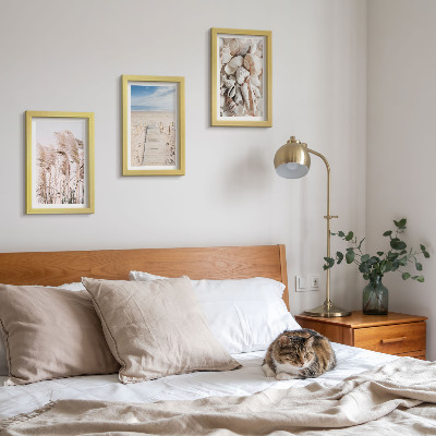 Framed triptych Sandy beach with shells and sea grass