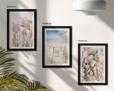 Framed triptych Sandy beach with shells and sea grass
