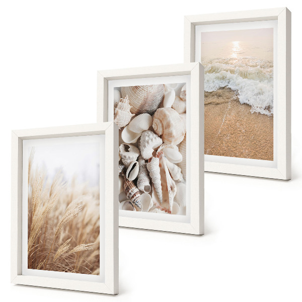 Photo frame wall Beach motifs with shells and sea waves