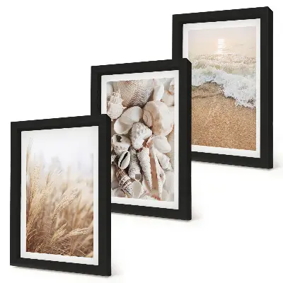 Photo frame wall coastal decor with shells and sea waves