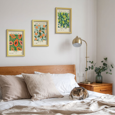 3-piece wall art set Fruit patterns vintage posters
