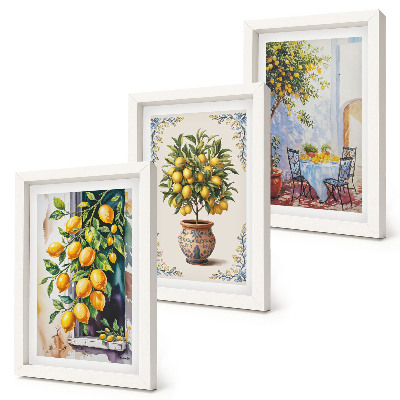 Photo frame wall Lemon trees and fruit in a sunny setting