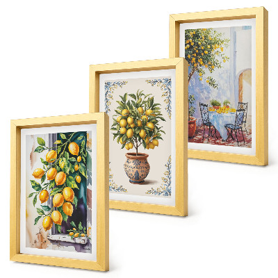 Photo frame wall Lemon trees and fruit in a sunny setting