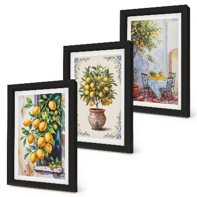 Photo frame wall Lemon trees and fruit in a sunny setting