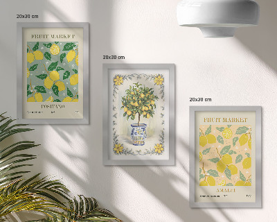 Framed triptych Citrus tree and fruit Italian posters