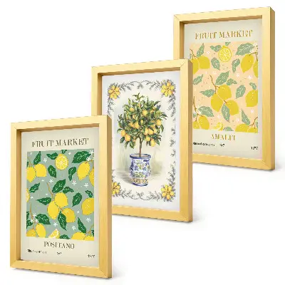 Citrus tree and fruit Italian posters framed triptych
