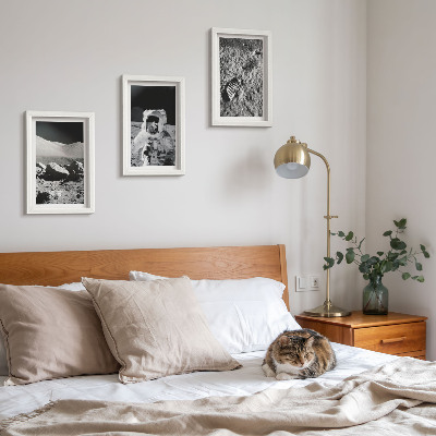 Photo frame wall Moon photos with astronaut and footprint