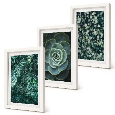 Photo frame wall Green leaves of succulent plants and delicate twigs