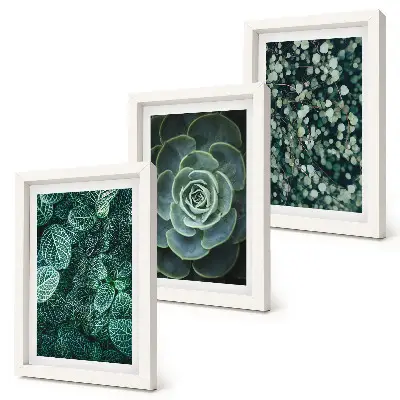 Photo frame wall art with green succulent leaves and delicate twigs