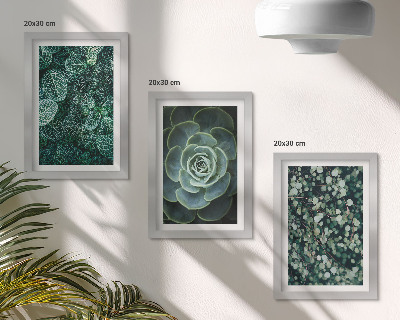 Photo frame wall Green leaves of succulent plants and delicate twigs