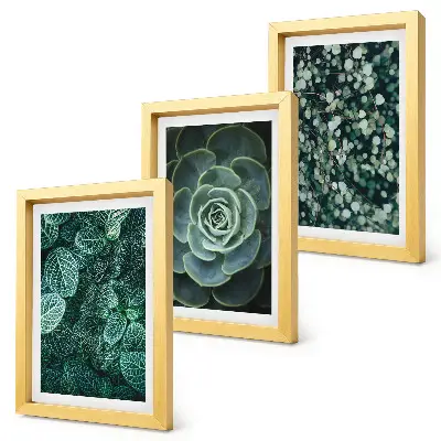 Photo frame wall art with green succulent leaves and delicate twigs
