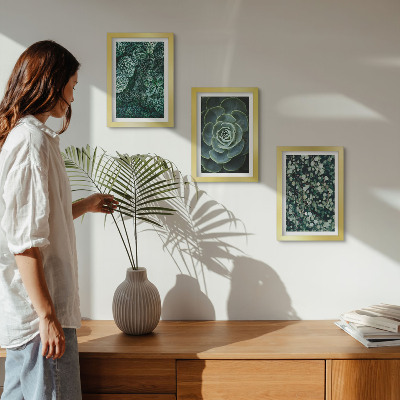 Photo frame wall Green leaves of succulent plants and delicate twigs