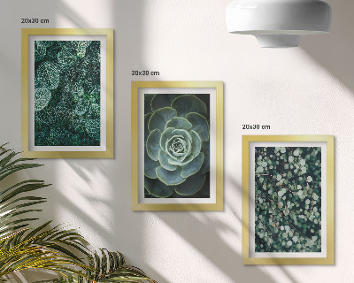 Photo frame wall Green leaves of succulent plants and delicate twigs
