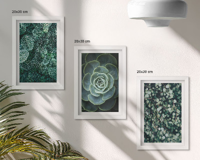 Photo frame wall Green leaves of succulent plants and delicate twigs