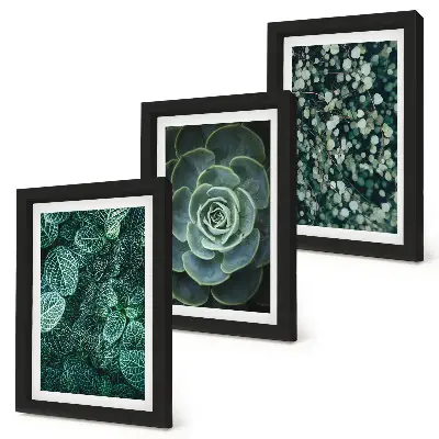 Photo frame wall art with green succulent leaves and delicate twigs