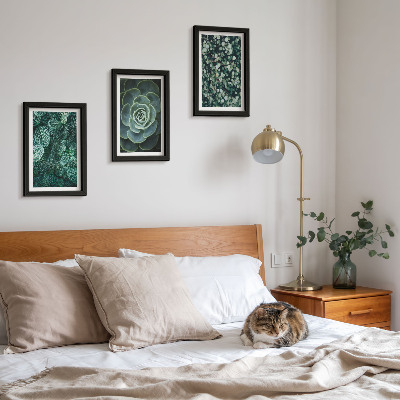 Photo frame wall Green leaves of succulent plants and delicate twigs