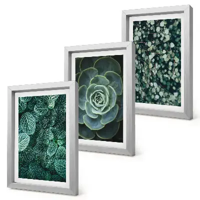Photo frame wall art with green succulent leaves and delicate twigs