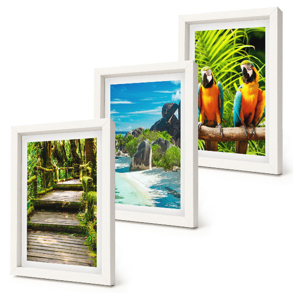 Photo frame wall Tropical forest with a waterfall and colorful parrots